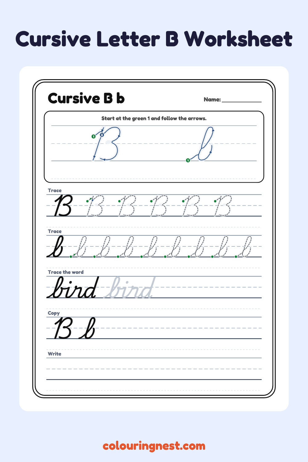 Cursive Letter B worksheet: free printable black-and-white line art