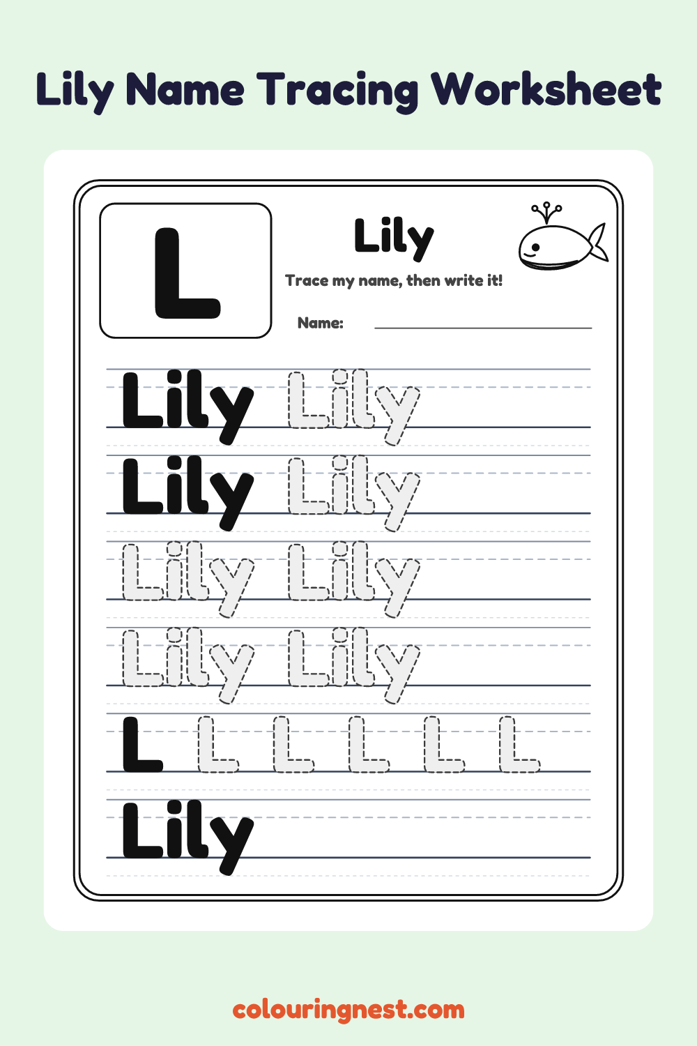 Lily Name Tracing Worksheet: free printable black-and-white line art
