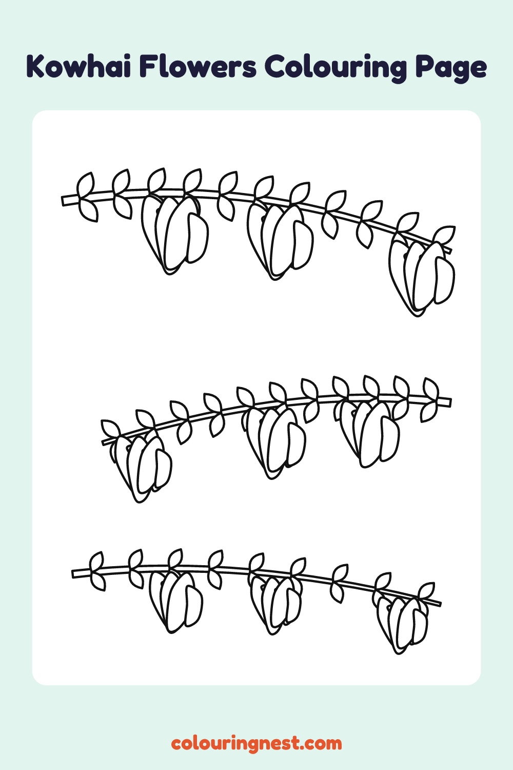 Kōwhai Flowers Colouring Page coloring page: free printable black-and-white line art