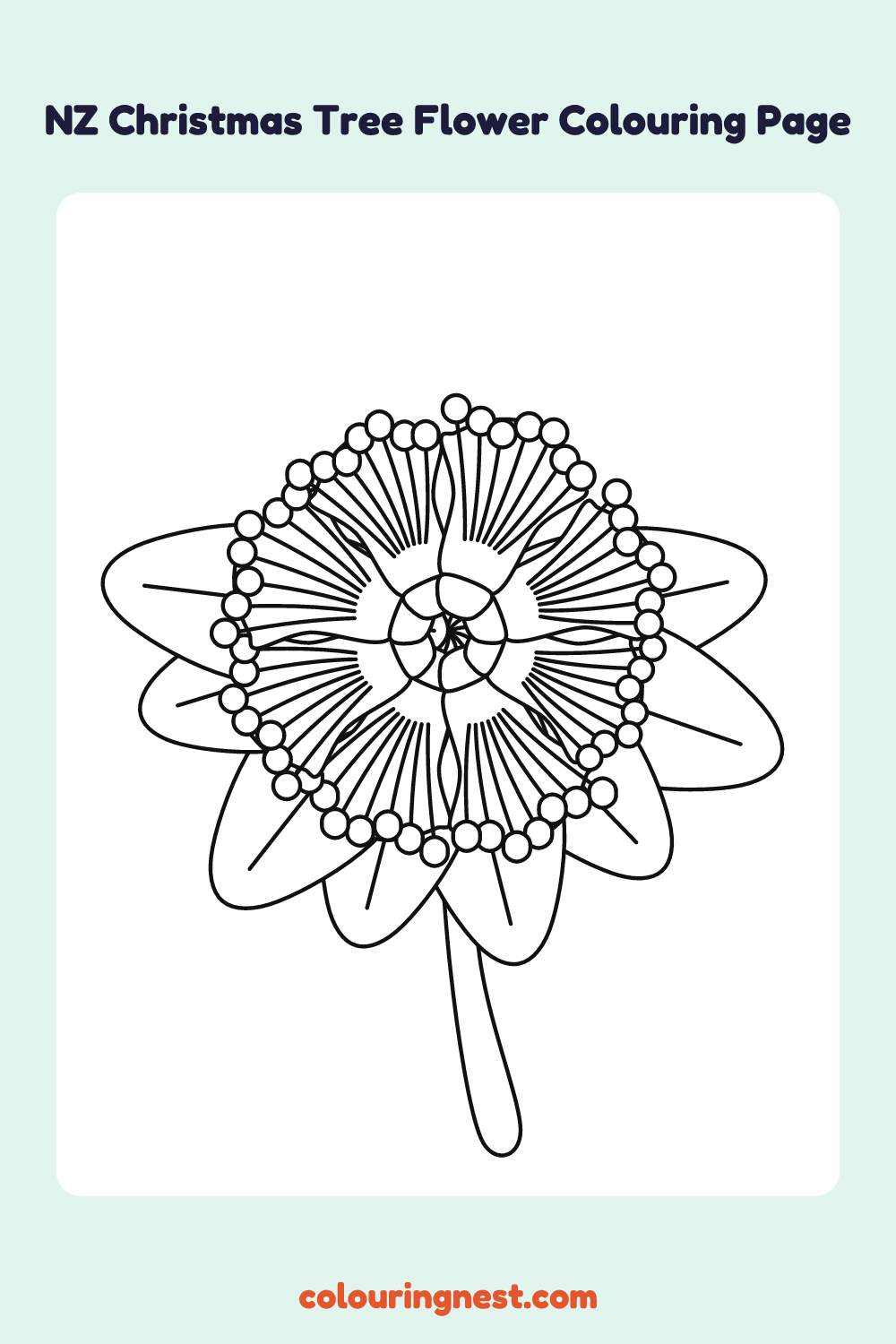 Pōhutukawa Flower Colouring Page coloring page: free printable black-and-white line art