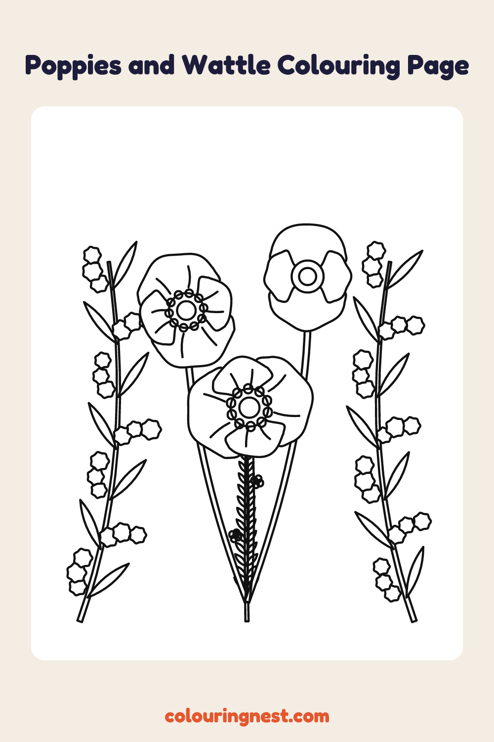 Poppies and Wattle Colouring Page coloring page: free printable black-and-white line art