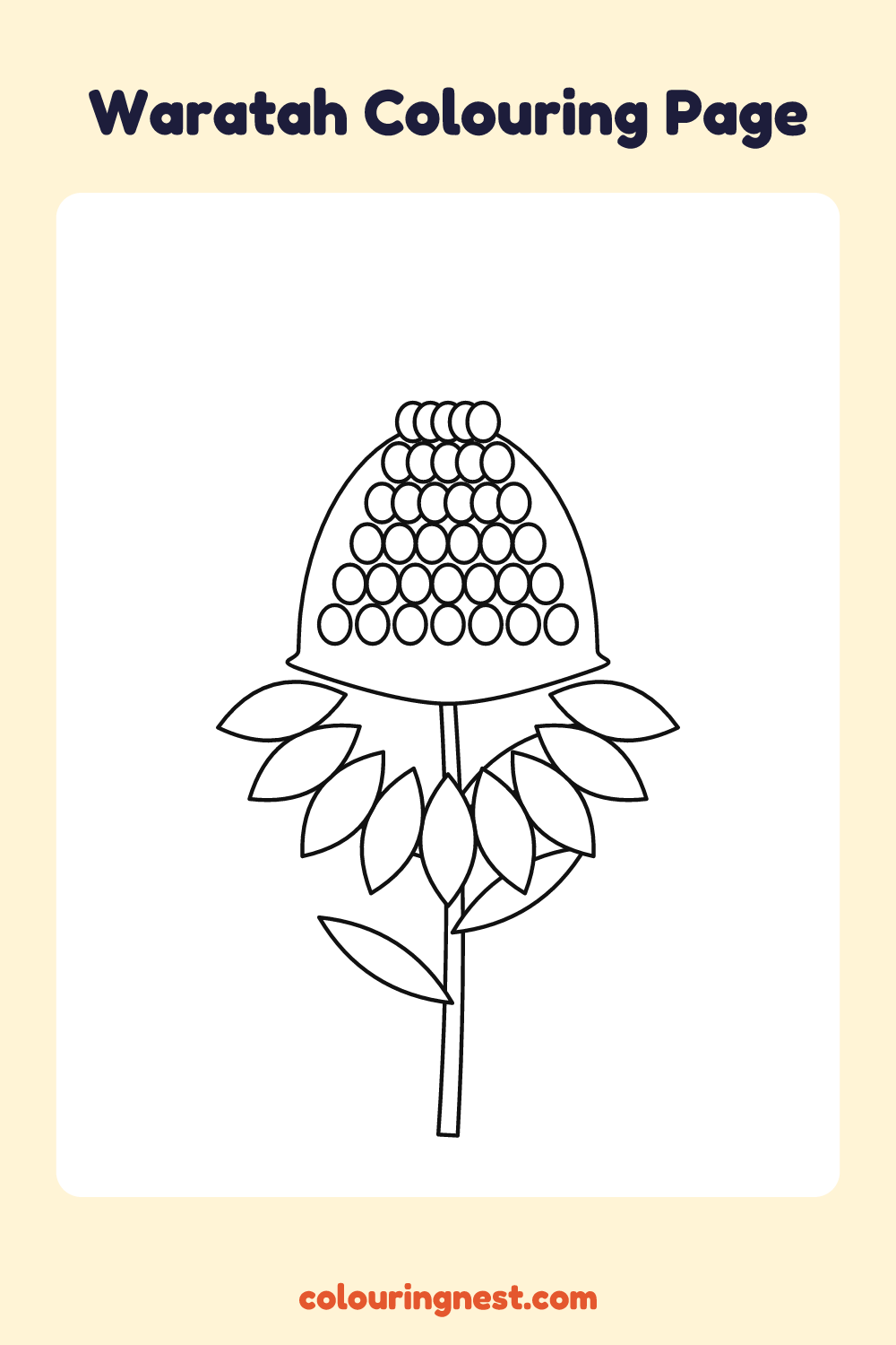 Waratah Colouring Page coloring page: free printable black-and-white line art