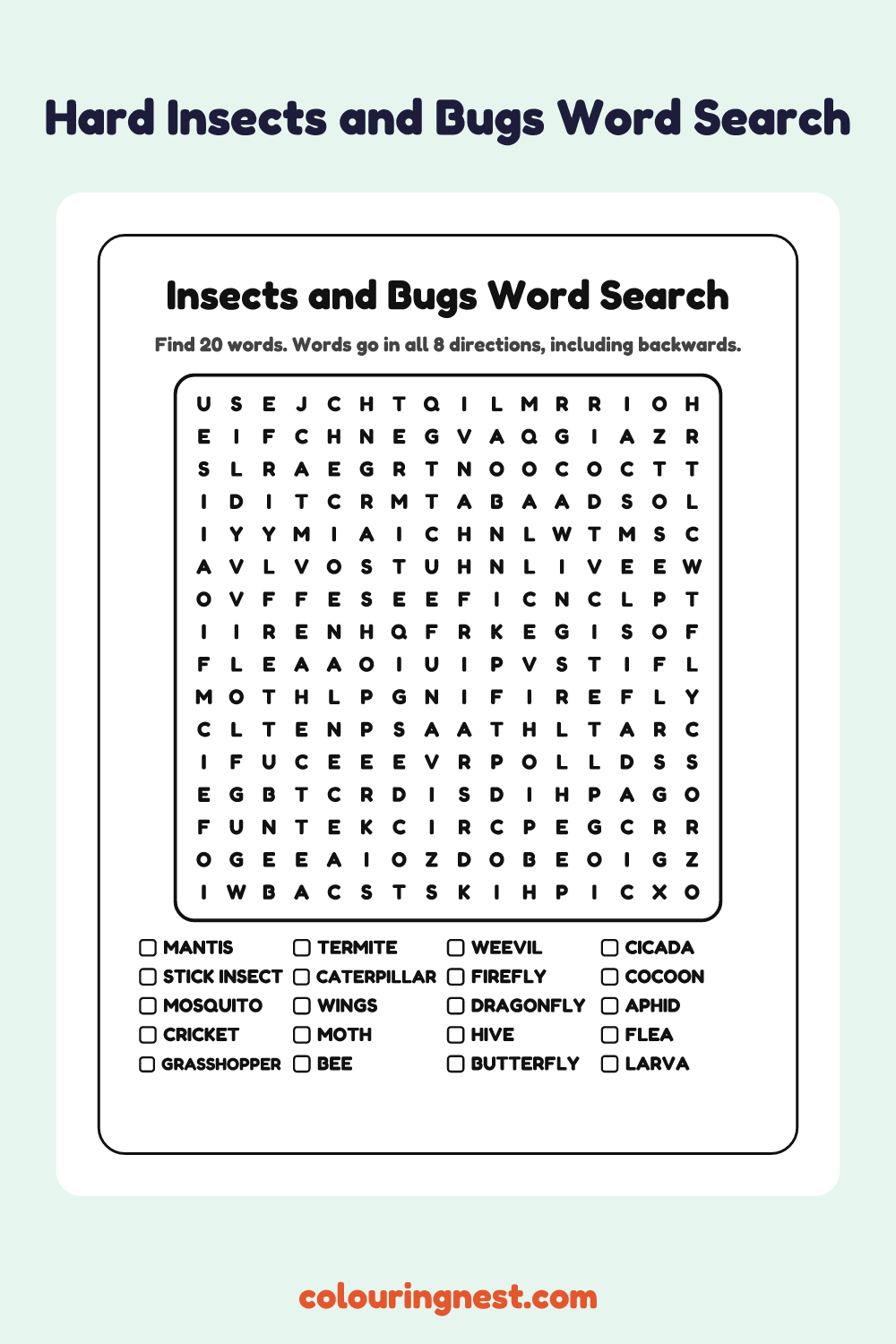 Insects and Bugs Word Search (Hard): free printable black-and-white line art