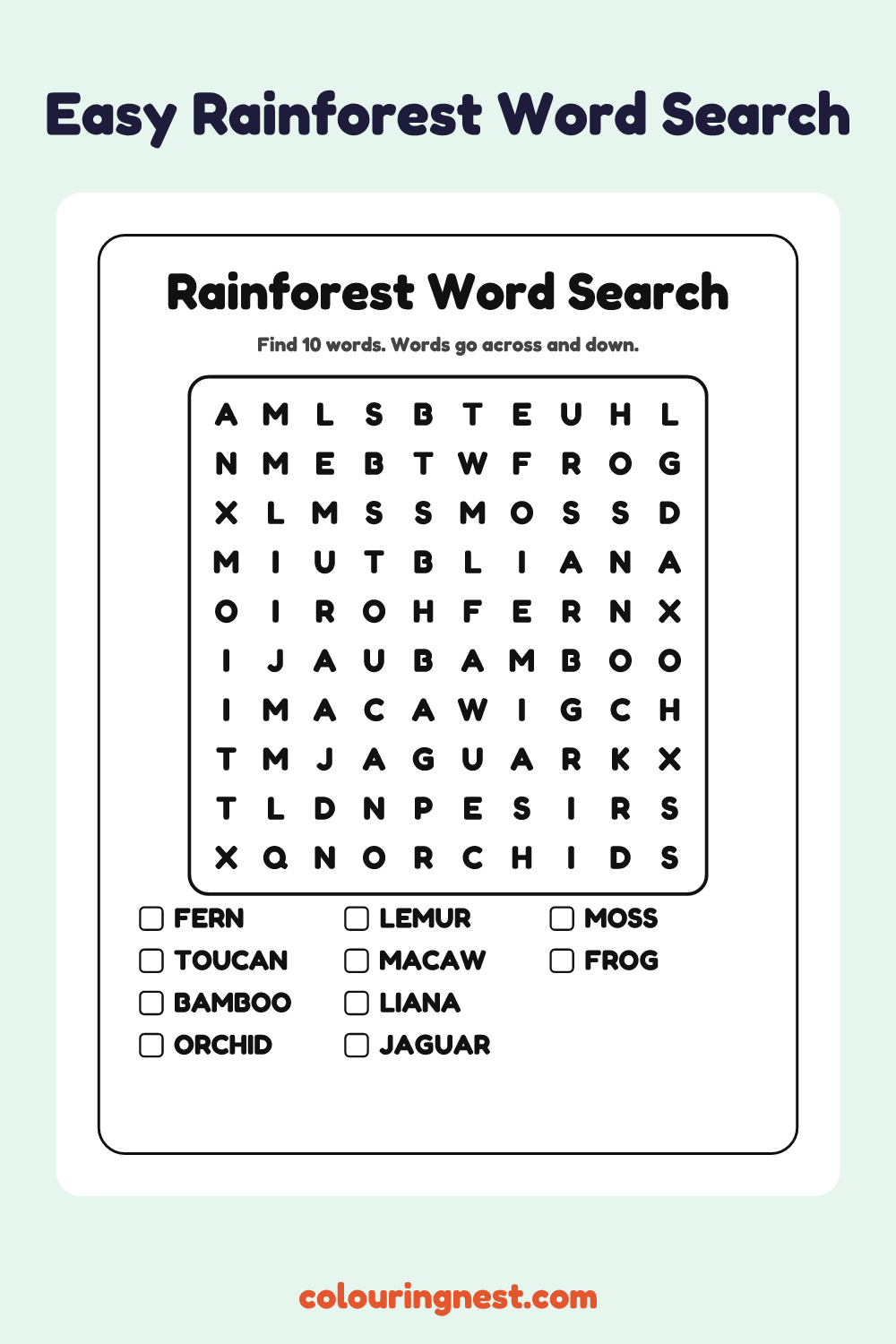 Rainforest Word Search (Easy): free printable black-and-white line art