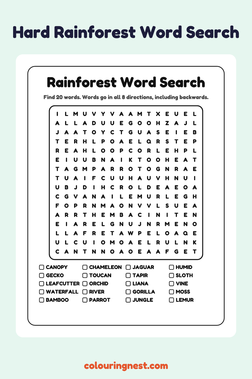 Rainforest Word Search (Hard): free printable black-and-white line art