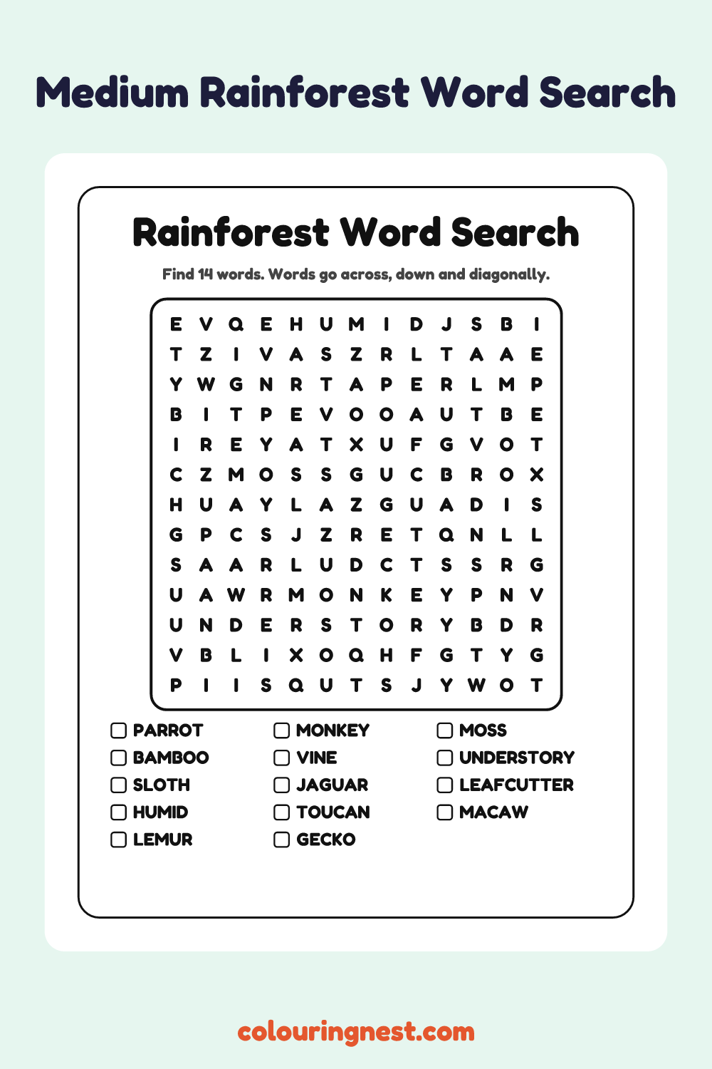 Rainforest Word Search (Medium): free printable black-and-white line art