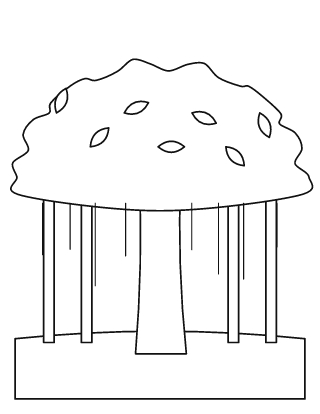 Banyan Tree Colouring Page