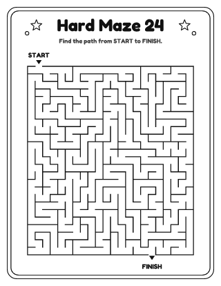 Hard Maze #24